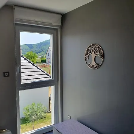 Le 6 : Maison Individuelle Au Coeur De L'alsace * Turckheim