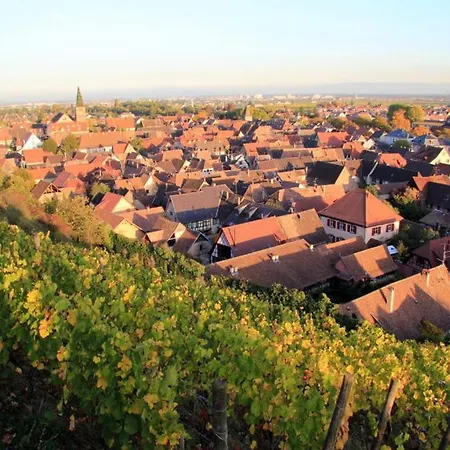 Le 6 : Maison Individuelle Au Coeur De L'alsace * Turckheim