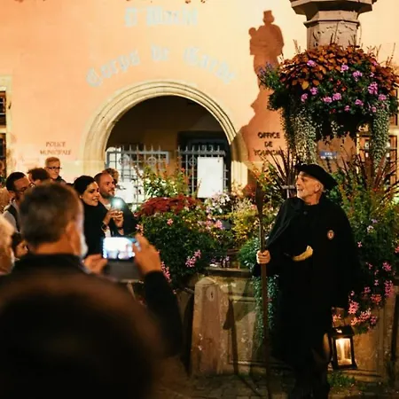 Le 6 : Maison Individuelle Au Coeur De L'alsace *